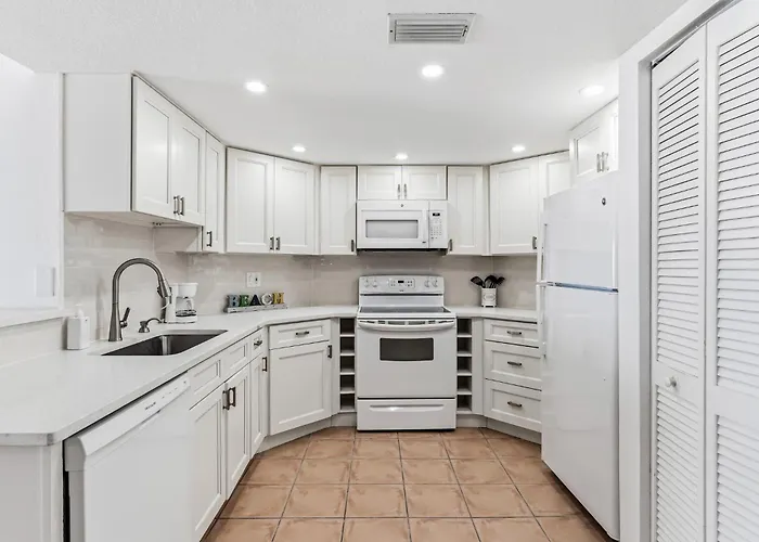 Palms 408